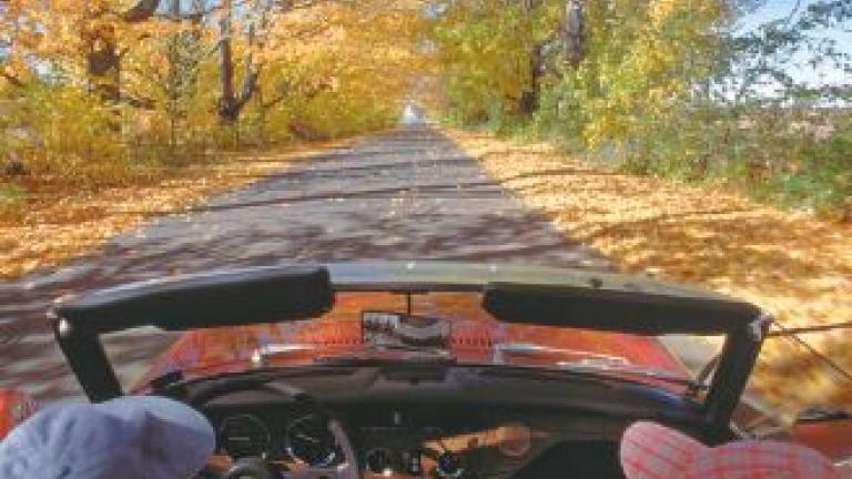 scenic fall drives